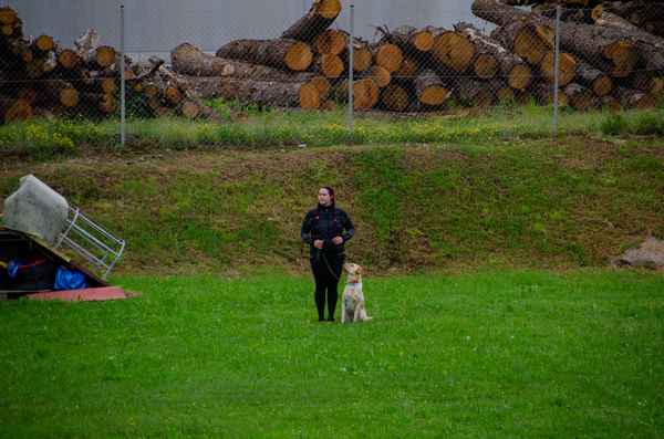 Pomladni tečaji uspešno zaključeni